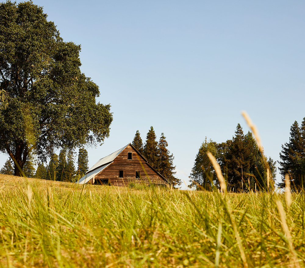 Scharffenberger barn in a field of grass.
